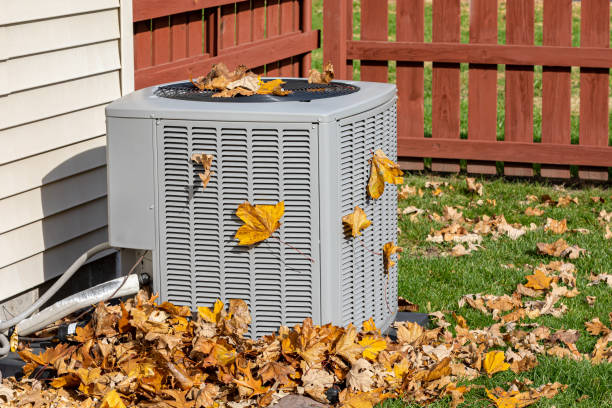 Best Local HVAC Companies  in Martinsburg, WV